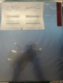 Billie Eilish - Vinyl / LP - Hit me hard and soft - barevný - 2