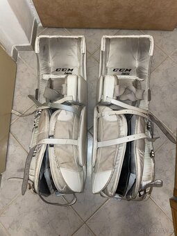 Betony CCM 34+3 - 2