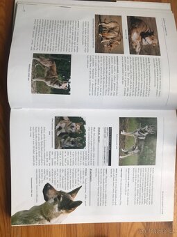 PSI - Velký atlas plemen - 2