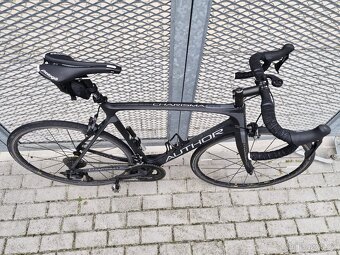 Author Charisma 55 2019, vel. 58" - 2