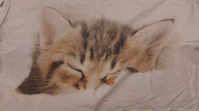 Povlečení koťátko - 2