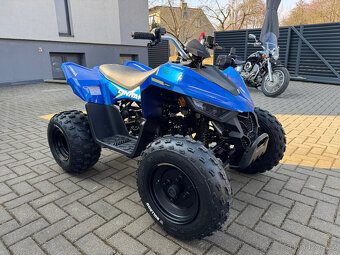 Linhai ATV 110 4x2 EFI CE - 2