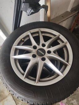 R25 205/60 Nissan Primera - 2