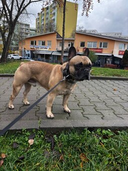 Nabízíme krytí - 2