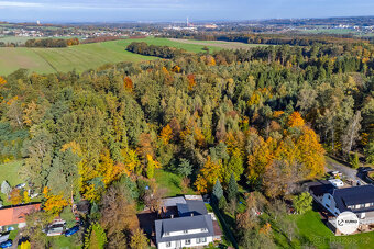 Prodej lesa 29 217m² - 2