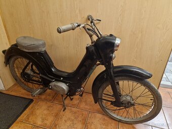 Jawetta 551 - 2