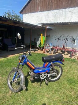 Moped ramzey - 2