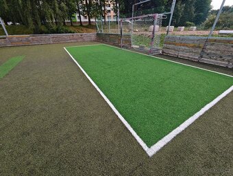 Travní koberec umělá trava - 2