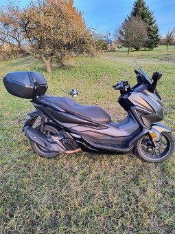 Honda Forza 125 - 2