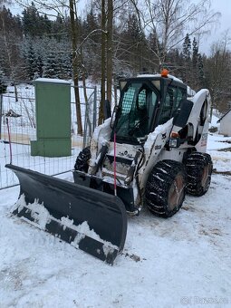 Bobcat - 2