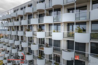 Pronájem, byty/1+kk, 34 m2, U Borského parku 3060/18, Jižní - 2