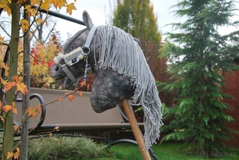 Hobby horse grošák - 2
