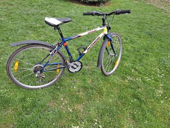 Kolo Author Limit 24" - 2