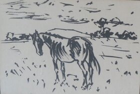 Sedláček Vojtěch / 3 x koňský motiv - 2