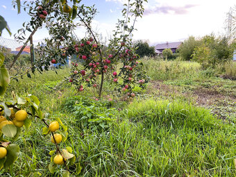 Pozemek pro rodinnou rekreaci - 2