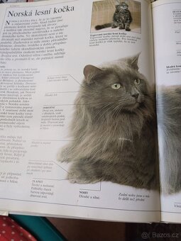 Velká kniha o kočkách - 2