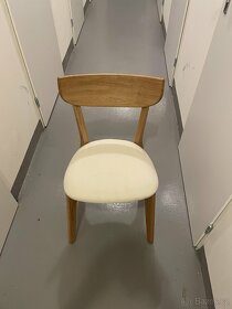 Jídelní židle z dubového dřeva Arch(30 kusu) - 2