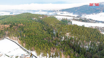 Prodej lesa, 4642 m², Mírová pod Kozákovem - 2