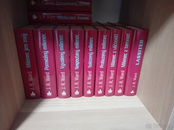 Bratrstvo černé dýky - 2