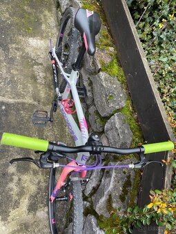 Prodám Rockmachine thunder 24 - 2