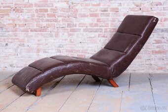 Elegantní hnědá lenoška - 2