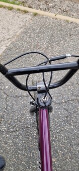 BMX „Big Shaggy Spoked“, 20" - 2