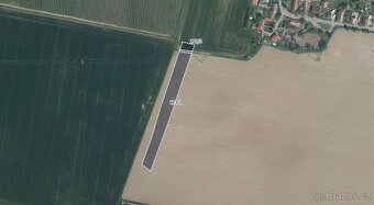Zemědělská půda, prodej, Nemošice, Pardubice - 2