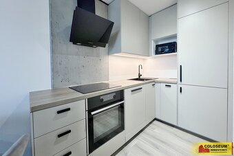 Brno - Horní Heršpice, pronájem bytu OV 2+kk, 37 m², parkova - 2