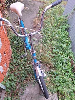 Prodám sladkovodní kolo - 2