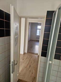 Pronájem bytu 28 m2, ul. Cimburkova - 2
