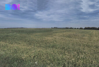 Prodej pole, 9 400 m², Přibice - 2