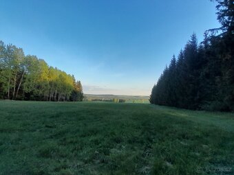 Dovolena s vlastním koněm - 2