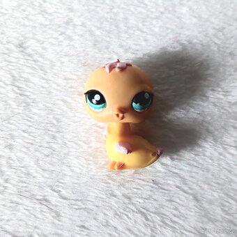 LPS Littlest Pet Shop - Kuřátko #1037 s doplňkem - 2