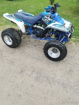 Yamaha Warrior 350 - 2