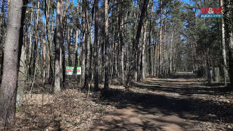Prodej pozemku k bydlení, 3854 m², Hradištko, Kersko - 2