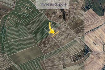 Prodej zemědělské půdy v k.ú. Želetice u Kyjova - 2