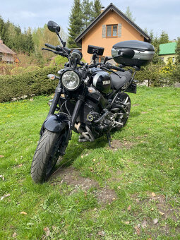 Yamaha XSR 900 - 2
