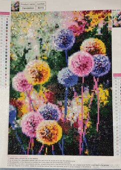 Diamantový obraz (30.) - 2