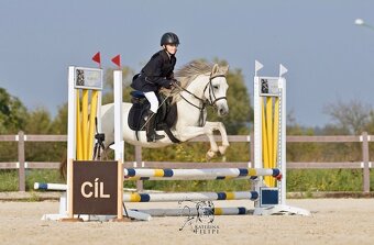 Pony do sportu pro šikovného juniora - 2