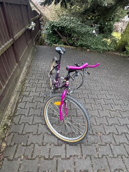 Jízdní kolo za odvoz - 2