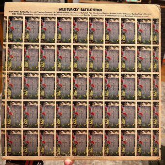 Wild Turkey — Battle Hymn. LP - 2