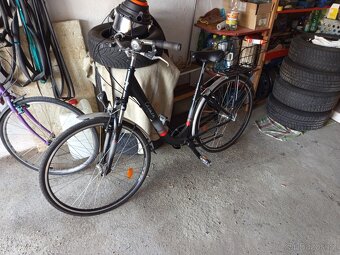 prodám městské kolo Dema Carmen - 2