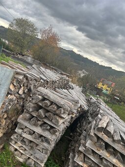 Suché palivové dřevo - 2