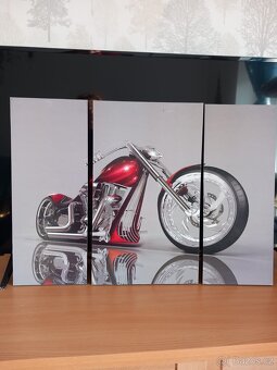 Obraz s motorkou - 2