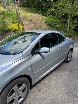 Peugeot 307 CC - 2
