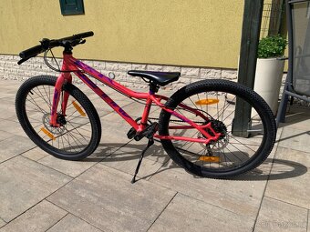Amulet Youngster 24” - 2
