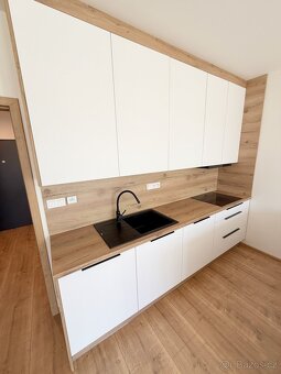 Pronájem bytu 1 + kk Seifertova Přerov - 2