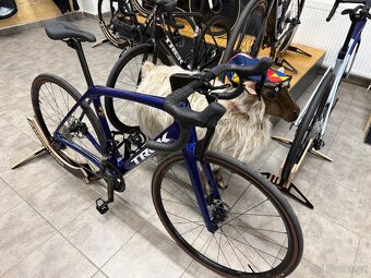 Trek Domane SL 6 gen 4 vel 54 hex blue - 2