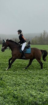 Equestrian Stockholm Sada - 2