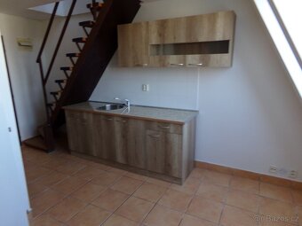 Pronájem bytu 1+1, Podnásepní, 50m2 - 2